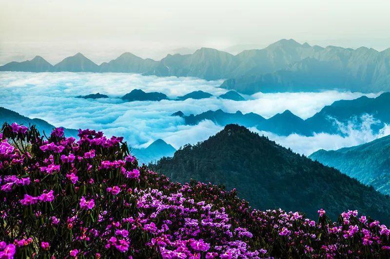 花瓶粉碎者